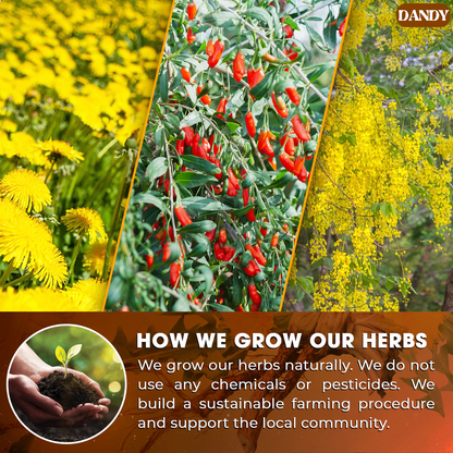 Dandelion Goji Berry Tea