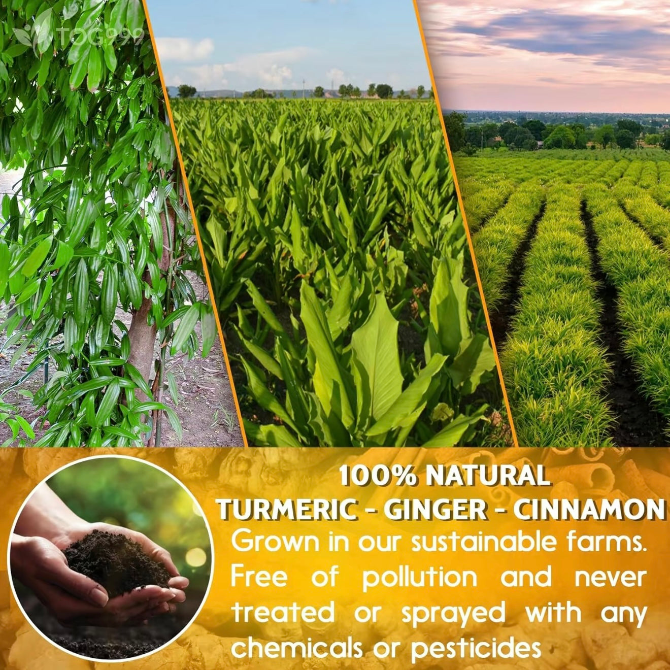 Ginger Turmeric Tea
